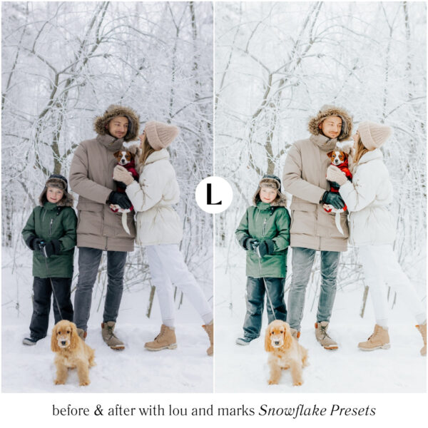 Christmas Preset Bundle By Primosy - Image 16