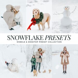 Snowflake Preset Collection By Primosy