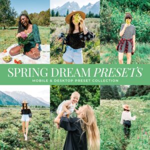 Spring Dream Preset Collection By Primosy
