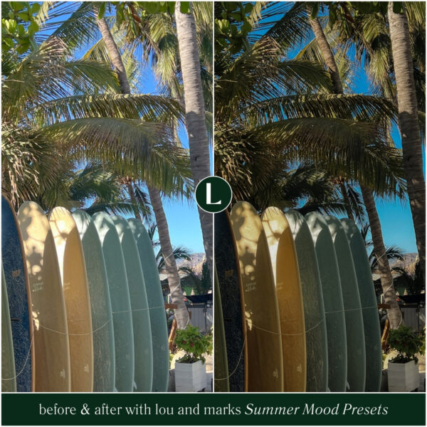 Summer Mood Preset Collection By Primosy - Image 3