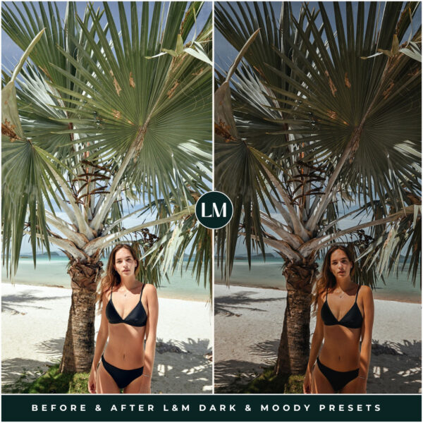 Dark & Moody Preset Collection By Primosy - Image 14