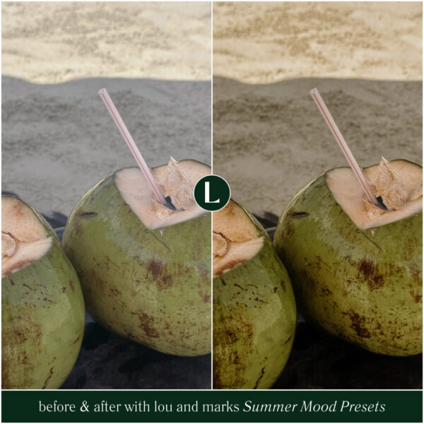 Summer Mood Preset Collection By Primosy - Image 8