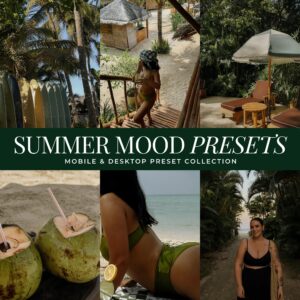 Summer Mood Preset Collection By Primosy