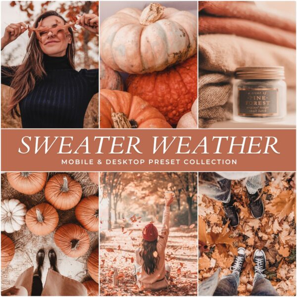 Autumn Preset Bundle By Primosy - Image 15