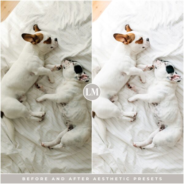 Aesthetic Preset Collection By Primosy - Image 9