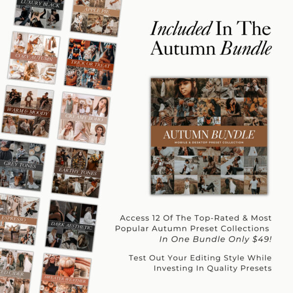 Autumn Preset Bundle By Primosy - Image 2