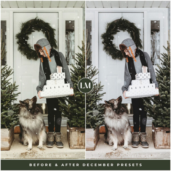 December Preset Collection By Primosy - Image 12