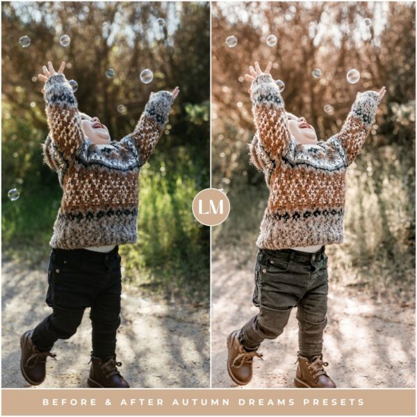 Autumn Dreams Preset Collection By Primosy - Image 8
