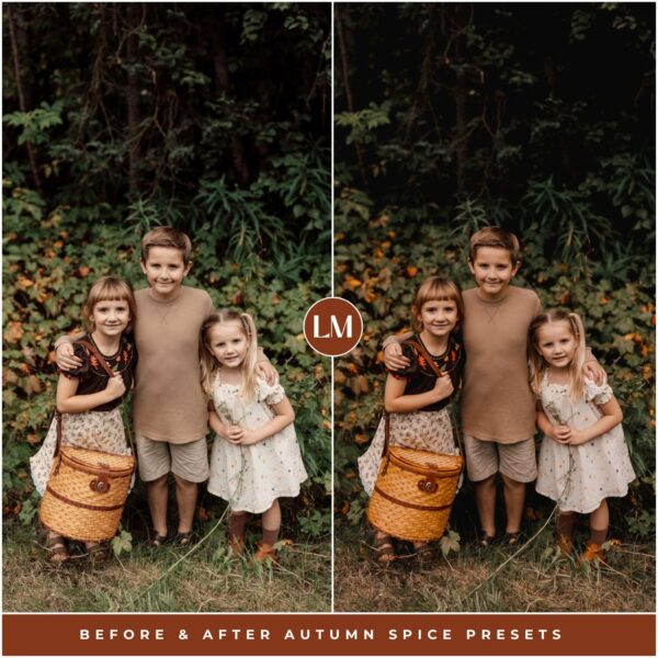 Autumn Spice Preset Collection By Primosy - Image 7