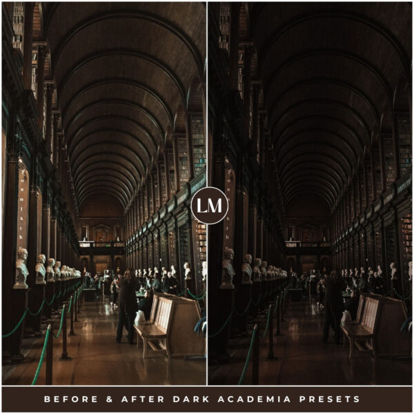 Dark Academia Preset Collection By Primosy - Image 15