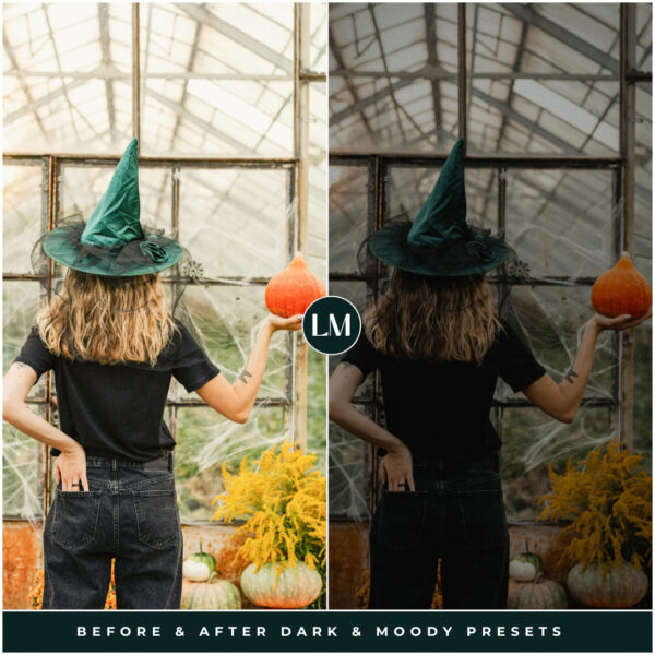 Dark & Moody Preset Collection By Primosy - Image 16