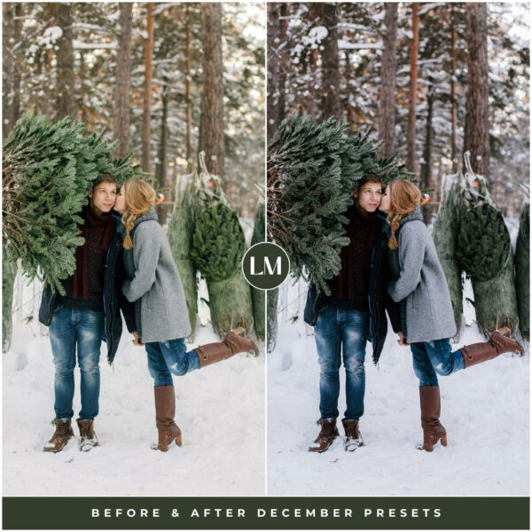 December Preset Collection By Primosy - Image 3