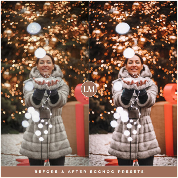 Eggnog Preset Collection By Primosy - Image 11