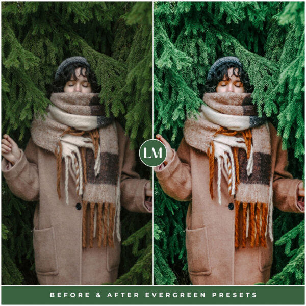 Evergreen Preset Collection By Primosy - Image 11