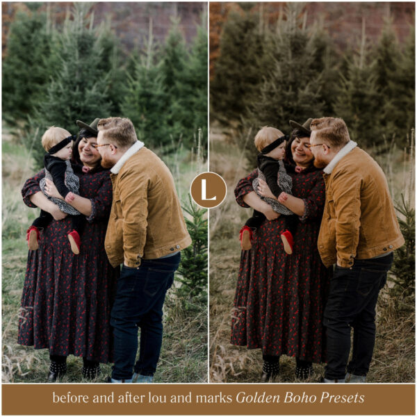 Moody Preset Bundle By Primosy - Image 6