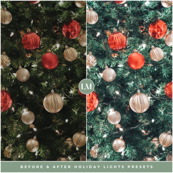 Holiday Lights Preset Collection By Primosy - Image 15