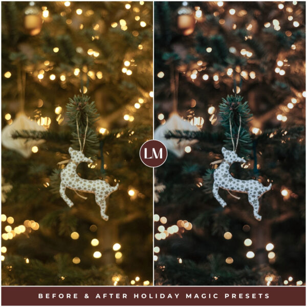 Holiday Magic Preset Collection By Primosy - Image 6