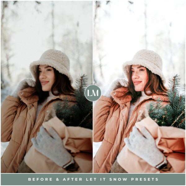 Winter Preset Bundle By Primosy - Image 20