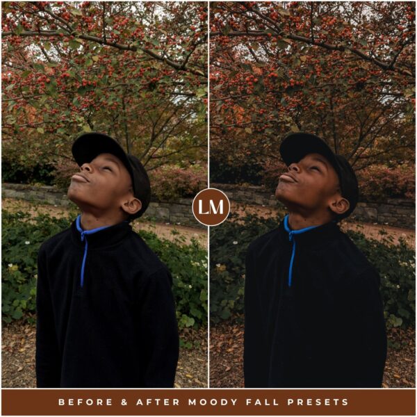 Moody Fall Preset Collection By Primosy - Image 14
