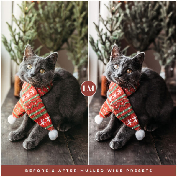 Mulled Wine Preset Collection By Primosy - Image 6