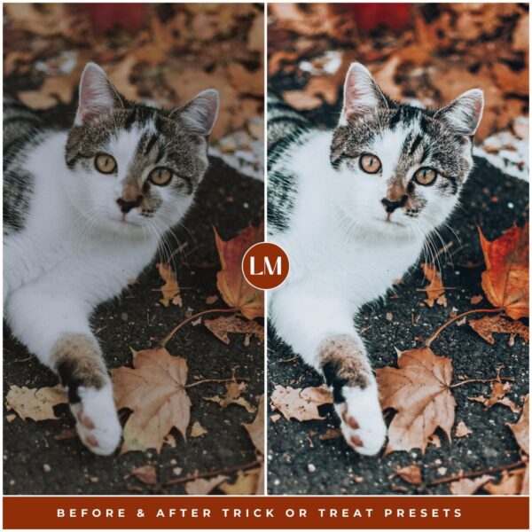 Trick Or Treat Preset Collection By Primosy - Image 7