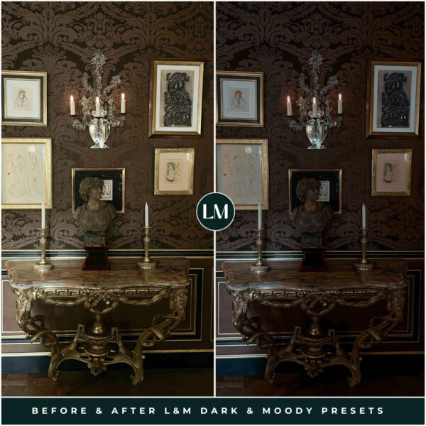 Dark & Moody Preset Collection By Primosy - Image 21
