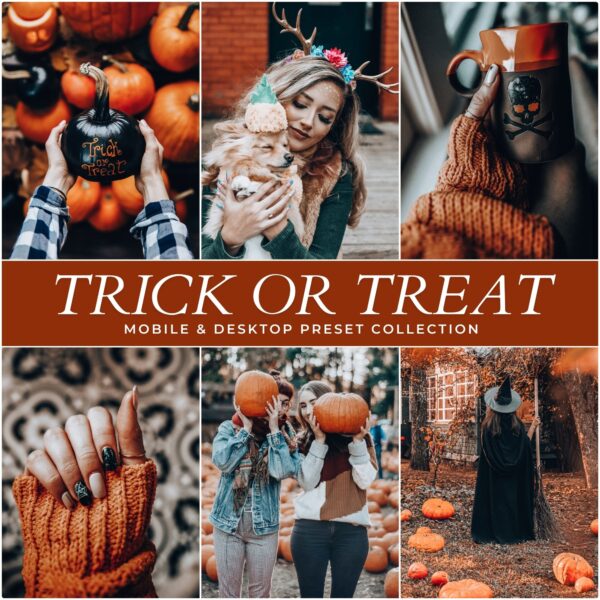 Autumn Preset Bundle By Primosy - Image 3