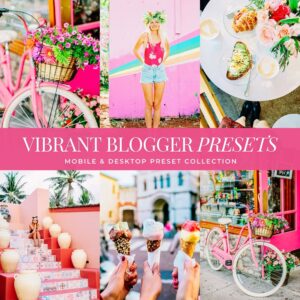 Vibrant Blogger Preset Collection By Primosy