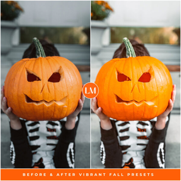 Vibrant Fall Preset Collection By Primosy - Image 11