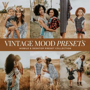 Vintage Mood Preset Collection By Primosy