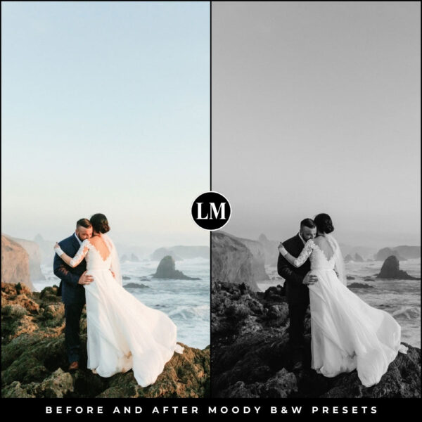 Moody Black & White Preset Collection By Primosy - Image 2