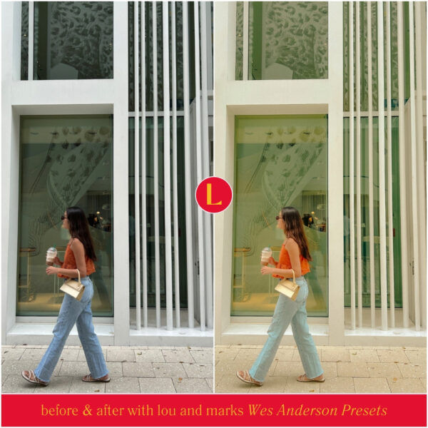 Wes Anderson Style Preset Collection By Primosy - Image 21
