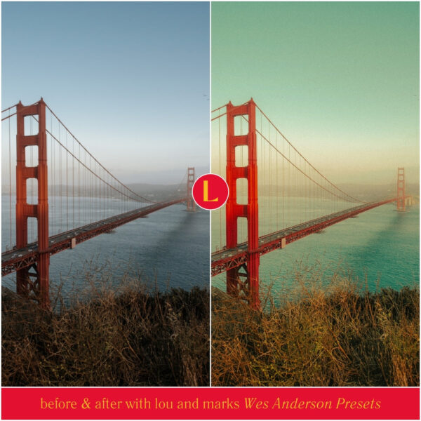 Wes Anderson Style Preset Collection By Primosy - Image 3