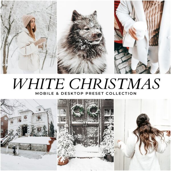 Holiday Preset Bundle By Primosy - Image 7
