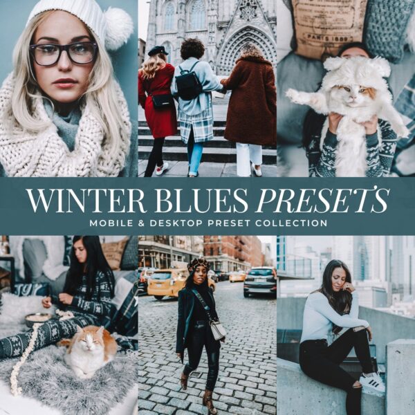 Winter Preset Bundle By Primosy - Image 25