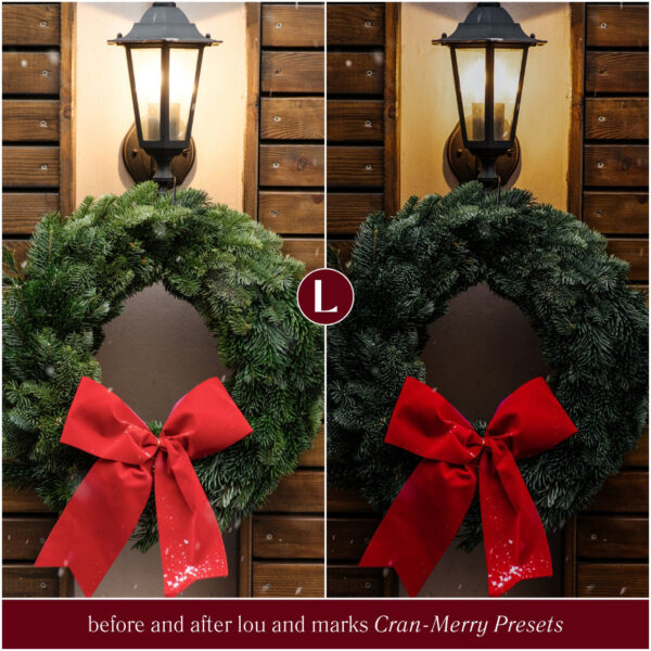 Cran-Merry Preset Collection By Primosy - Image 4