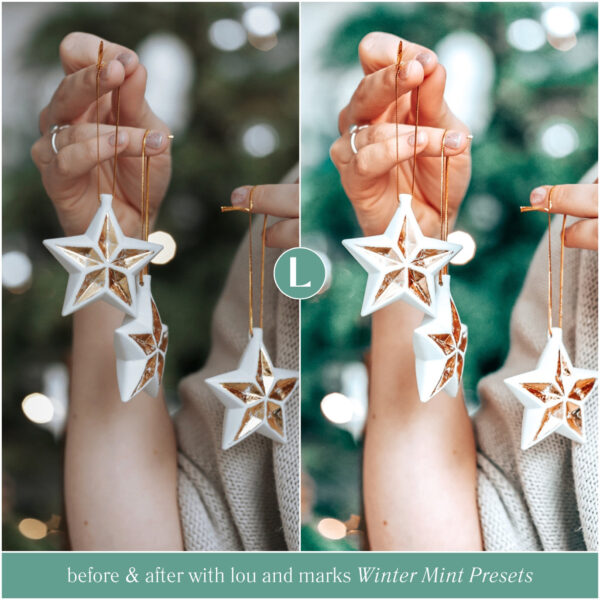 Winter Mint Preset Collection By Primosy - Image 8