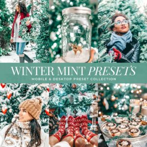 Winter Mint Preset Collection By Primosy