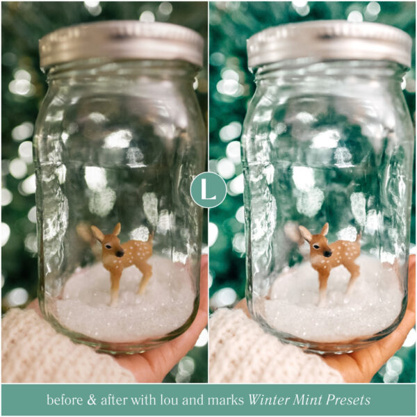 Winter Mint Preset Collection By Primosy - Image 5