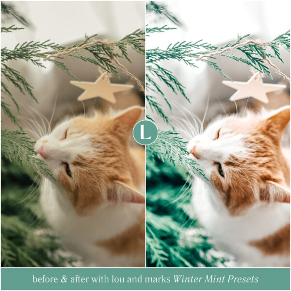 Winter Mint Preset Collection By Primosy - Image 11