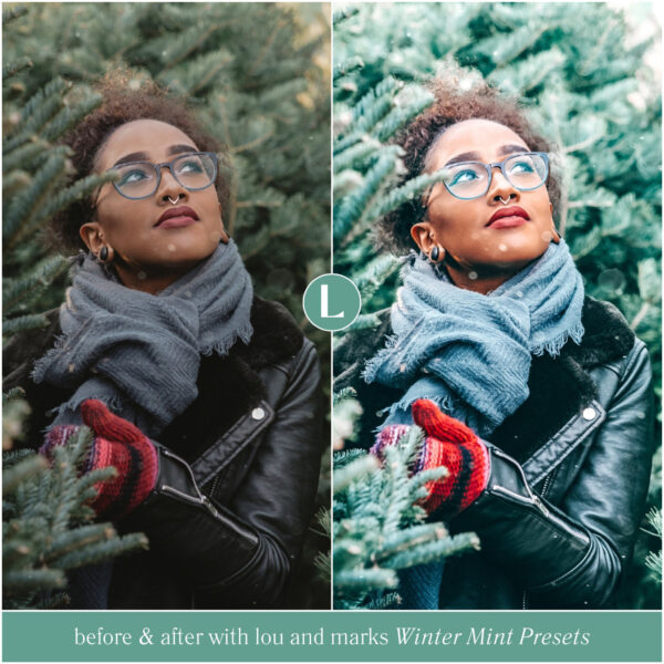 Winter Mint Preset Collection By Primosy - Image 6