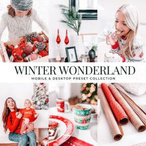 Winter Wonderland Preset Collection By Primosy