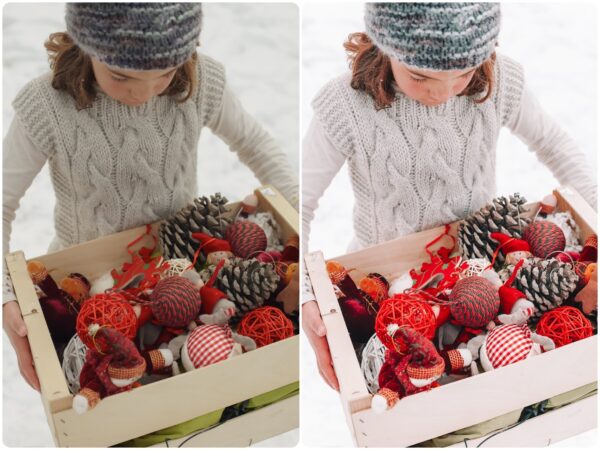 Winter Wonderland Preset Collection By Primosy - Image 6