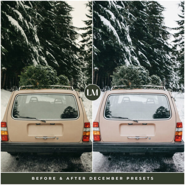 December Preset Collection By Primosy - Image 10