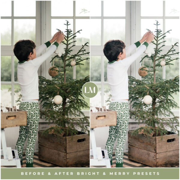 Winter Preset Bundle By Primosy - Image 12