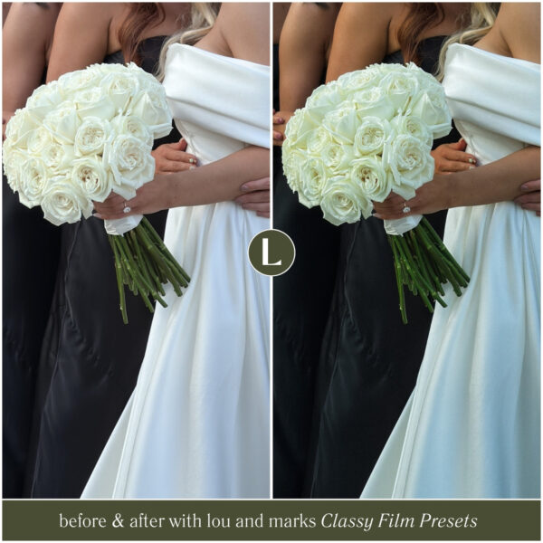 Classy Film Preset Collection By Primosy - Image 2