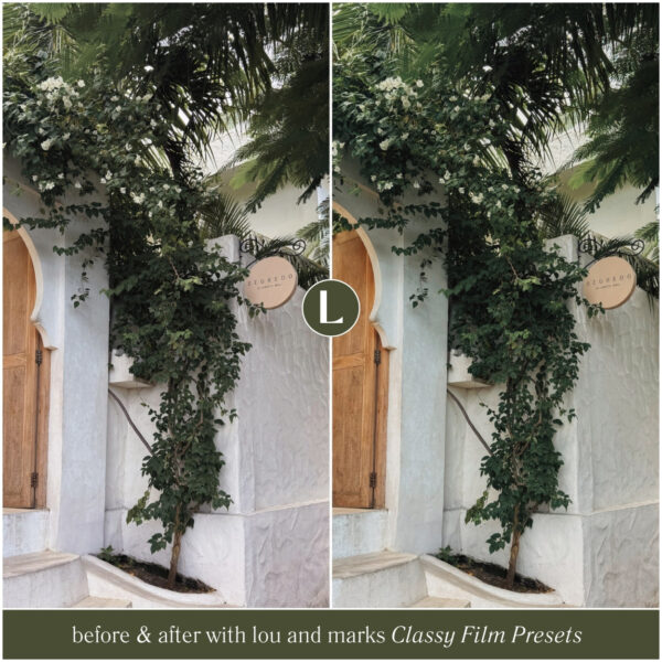 Classy Film Preset Collection By Primosy - Image 7