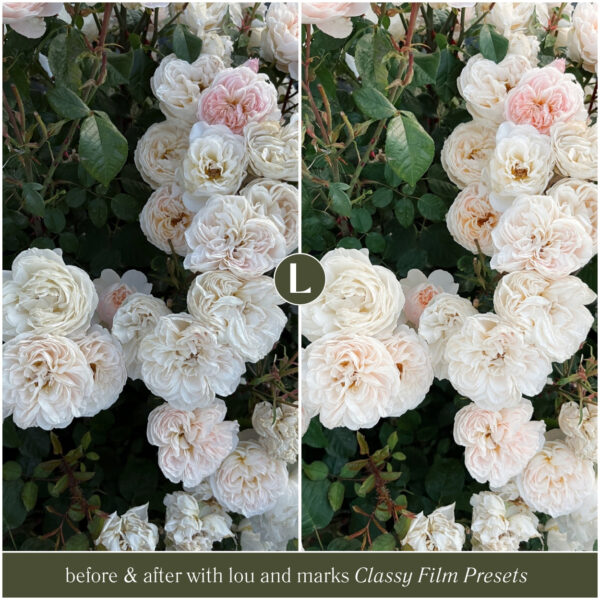 Classy Film Preset Collection By Primosy - Image 10