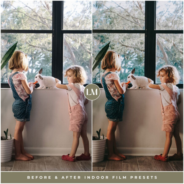 Indoor Film Preset Collection By Primosy - Image 11