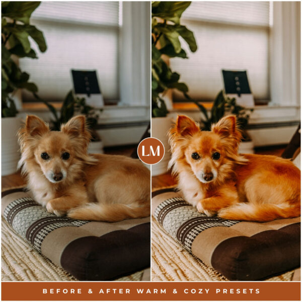 Warm & Cozy Preset Collection By Primosy - Image 13